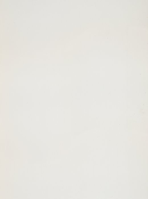 Quartz finish Bianco Perlato